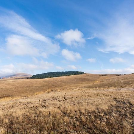 Zlatibor Hills Zozon Apartment Bagian luar foto