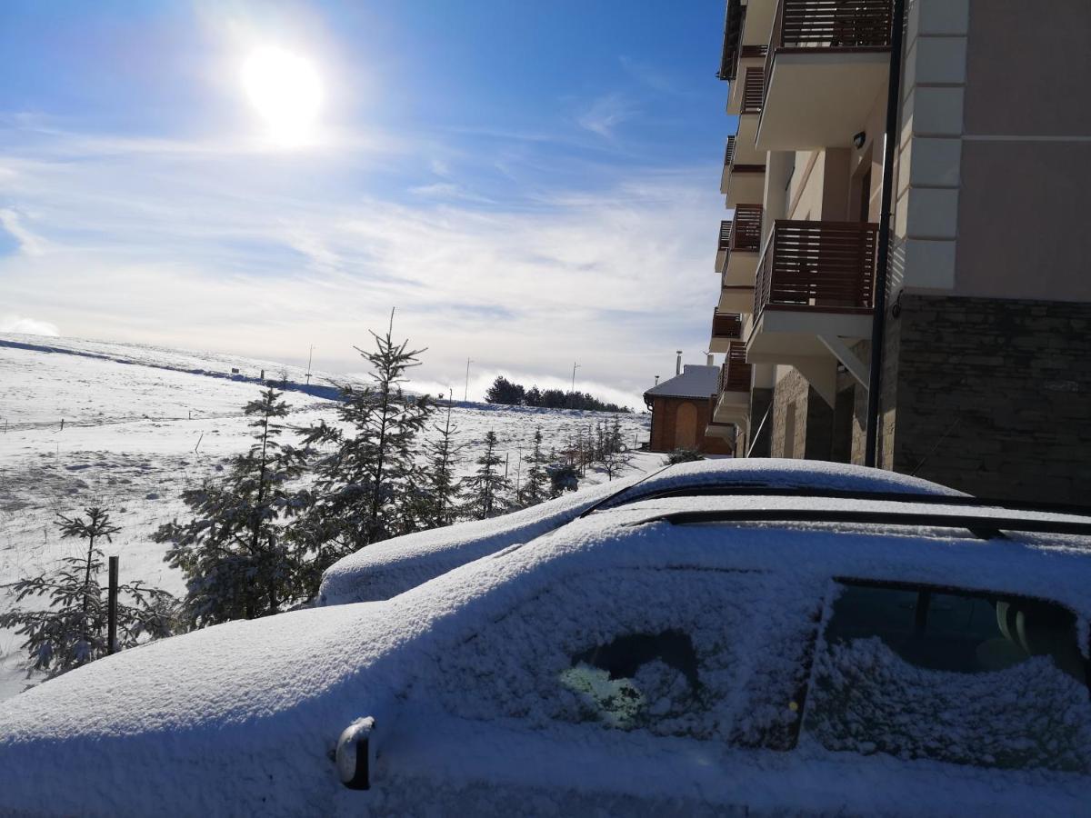 Zlatibor Hills Zozon Apartment Bagian luar foto