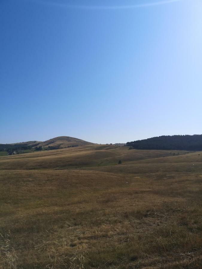 Zlatibor Hills Zozon Apartment Bagian luar foto